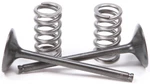 Prox Nitride Steel Exhaust Valves W/ Chrome Vanadian Springs 28.SES2444-1. Fixed Price $166.95.