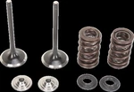 Moose Stainless Valve & Spring Kit For 2007-2017 Suzuki Rm-z 250. Fixed Price $217.95.