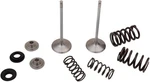 Moose F.e.a. Stainless Steel Valve And Spring Intake Kit Kawasaki KX250F 17-19. Fixed Price $217.95.