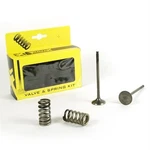 Pro Exhaust Valve & Spring Kit For Husqvarna FE250 2014-2018. Fixed Price $189.78.