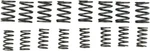 Kibblewhite Valve Spring Kit 40-0449. Fixed Price $68.93.