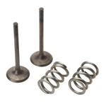 Pro 28.SES3407-1 Steel Exhaust Valve/spring Kit. Fixed Price $131.10.