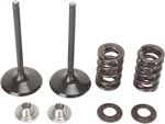 Moose Stainless Steel Valve And Spring Exhaust Kit W Seals Yamaha YZ450F 10-13. Fixed Price $196.95.
