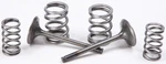 Pro 28.SES4409-1 Steel Valves And Spring Kits Exhaust. Fixed Price $166.95.