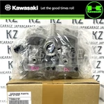 Kawasaki Genuine KX250F 2009 Cylinder Head 11008-0191 Oempart New. Fixed Price $557.66.