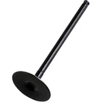 Hot Cams Intake Valve 8400008-2. Fixed Price $99.16.