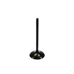 Psychic Intake Engine Valve XU-09509I. Fixed Price $17.54.