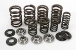 Kibblewhite 30-30880 Valve Spring Kit. Fixed Price $158.75.