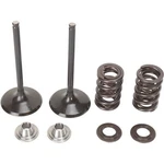 Moose Valve And Spring Kit Yamaha YZ450F XF-2-0926-2462. Fixed Price $196.95.
