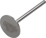Del West Titanium Engine Valve DWKFX450RIV11. Fixed Price $155.95.