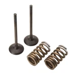 Pro 28.SES3338-1 Steel Exhaust Valve/spring Kit. Fixed Price $139.99.
