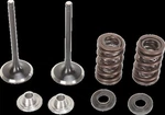 Moose Stainless Valve & Spring Kit For 2007-2014 Suzuki Rm-z 250. Fixed Price $196.95.