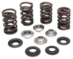 Valve Spring Set RMZ450 08-15, Kibblewhite 60-60700 Racing, Lightweight. Fixed Price $296.90.