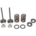 Moose Valve And Spring Kit - Ktm Rfs Engines 400 Cc 500. Fixed Price $196.95.