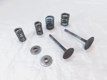 1988-1997 Yamaha Virago XV750 Cylinder Head Intake/exhaust Valves & Springs. Fixed Price $39.95.