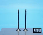 Suzuki 80-83 Oem GS750 Cylinder Head Exhaust Valves (2 Pc) -a-. Fixed Price $24.99.