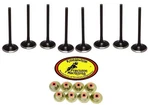 Polaris Rzr Xp 900 Replacement Valves Kibblewhite Stainless Intake Exhaust. Fixed Price $244.14.