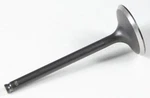 Kpmi Black Diamond Exhaust Valve Engine. Fixed Price $32.13.