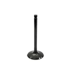 Bronco Atv Intake Valve AU-09000I. Fixed Price $10.99.