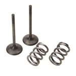 Pro 28.SES3405-1 Steel Exhaust Valve/spring Kit. Fixed Price $129.99.