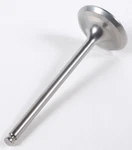 Wiseco One-piece Forged Titanium Intake Valves Coated & Light Weight VIT008. Fixed Price $105.40.