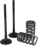 Wiseco Piston Garage Buddy Exhaust Valve Kit 117992 WISSVK4406-E. Fixed Price $172.99.