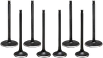 Kibblewhite Black Diamond Valve Kits 20-23300. Fixed Price $224.99.