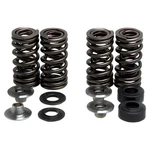 2009 Honda CRF150R Expert Valve Spring Kit, Manufacturer: Kibblewhite. Fixed Price $152.19.