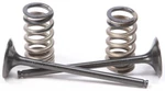 Pro X Steel Valves And Spring Kits 28.SES6329-1. Fixed Price $140.36.