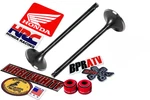 80-02 Honda XR200R Oem Head Kibblewhite Intake Exhaust Valves Seals. Fixed Price $95.55.