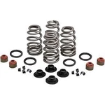 Kibblewhite 20-21550 .660" Lift Valve Spring Kit Twin Cam & Sportster. Fixed Price $214.17.