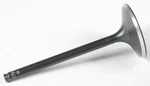 Kibblewhite Black Diamond Intake Valve For 2004-2005 Honda TRX450R 30-30750. Fixed Price $30.08.