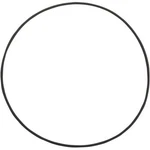 Jim's Machining Large Cam O-ring For Jims Covers Motorcycles 2171. Fixed Price $16.25.