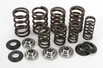 Kibblewhite Valve Spring Kit .415" Lift 60-60240. Fixed Price $184.76.
