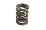 Valve Springs, Dual, 1.460 In. Outside Diameter, 1.850 Ins Height, Set Of 16. Fixed Price $84.95.