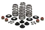 Kibblewhite Harley Davidson Ovate Wire Valve Spring Kit 04-17. Fixed Price $161.35.
