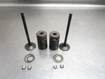 2003 Kawasaki Concours 1000 Intake Valve F 12009-1054 12004-1119. Fixed Price $20.00.