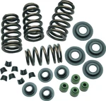 & Cycle Sidewinder Valve Spring Kit 106-5909. Fixed Price $265.99.