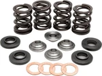Kibblewhite Valve Spring Kit W/ Titanium Collar #96-96000 Ktm. Fixed Price $157.31.