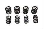 Hi-lift Valve Spring Set For Harley-davidson. Fixed Price $75.99.