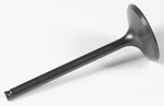 Kibblewhite Black Diamond Intake Valve 40-40712. Fixed Price $49.45.