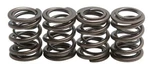 Spring Valve Kit, XR500/600, Kibblewhite 30-4081, 460 Lift. Fixed Price $126.20.