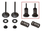 Psychic Intake Valve Kit XU-09528IK. Fixed Price $70.33.