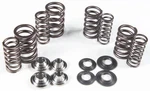 Kibblewhite Precision Valve Spring Kit 80-80900. Fixed Price $999.00.