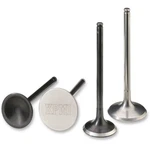 Moose Pro Valve Kit 0926-2576. Fixed Price $274.95.