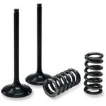 Pro-x 28.SIS3407-2 Steel Intake Valve And Spring Kit. Fixed Price $119.97.