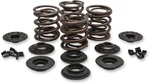 Kibblewhite 20-20435 Spring Kit Vlv Oe 66-83BT. Fixed Price $119.72.
