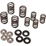 Kibblewhite Lightweight Valve Spring Kit For Honda XR250 XL250R XR200R 30-30077. Fixed Price $126.73.