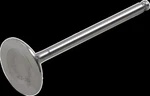 Del West DW-YZ450F-1IV03 Valve Intk Mid. Fixed Price $145.09.