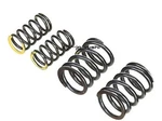 Kitako (kitaco) Ultra Valve Spring Set Made Cylinder Head For 303. Fixed Price $51.40.